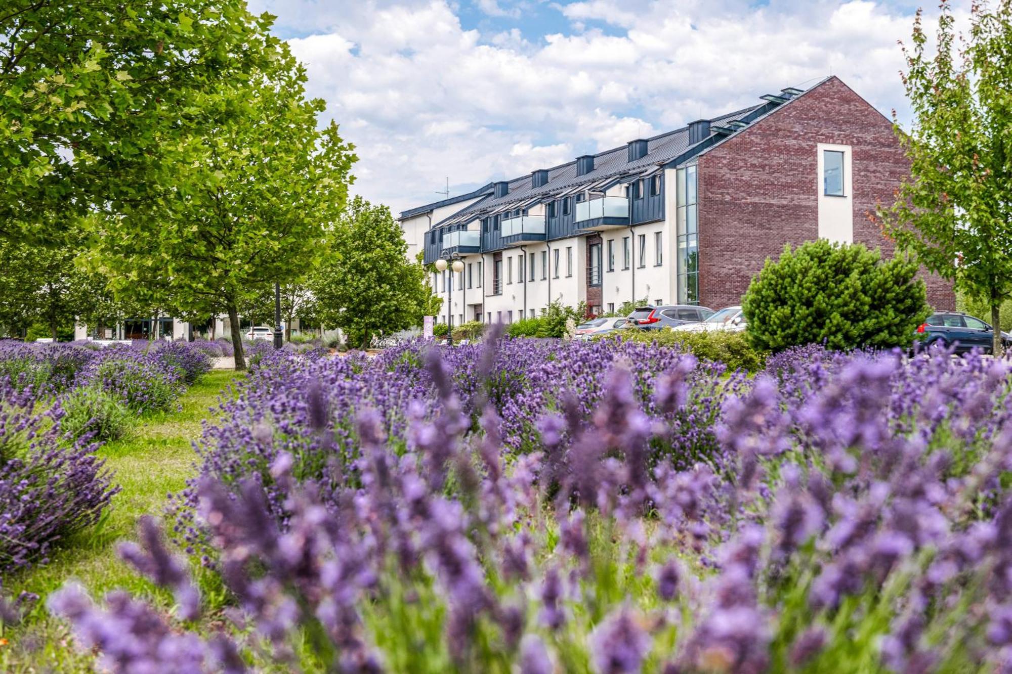 Lawendowe Termy Hotel Uniejow Kültér fotó